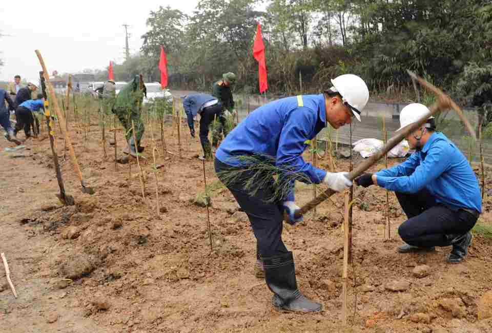 Vũ Văn Hưng-BTDU Gi&aacute;m đốc thực hiện trồng c&acirc;y sau khi ph&aacute;t biểu.