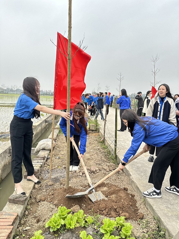 Hưởng ứng kế hoạch trồng c&acirc;y xanh của TP H&agrave; Nội.