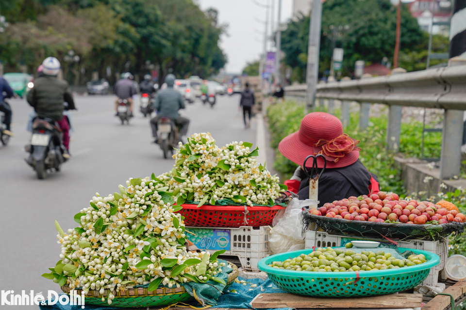 Đi giữa phố phường Thủ đ&ocirc;, người d&acirc;n dễ d&agrave;ng bắt gặp những xe h&agrave;ng rong chở đầy hoa bưởi.