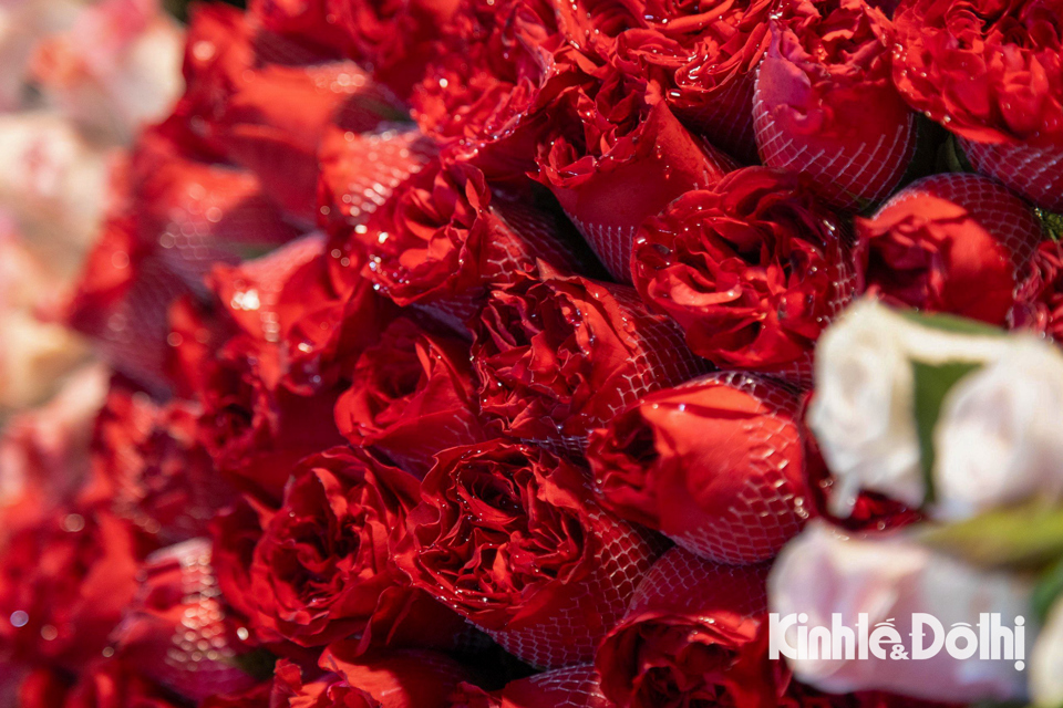 Hoa hồng đỏ lu&ocirc;n l&agrave; sự lựa chọn h&agrave;ng đầu trong những dịp ng&agrave;y lễ n&agrave;y.