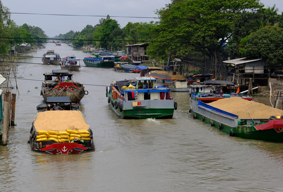 2 th&aacute;ng đầu năm 2024, xuất khẩu gạo đạt 708 triệu USD. Ảnh mimh họa