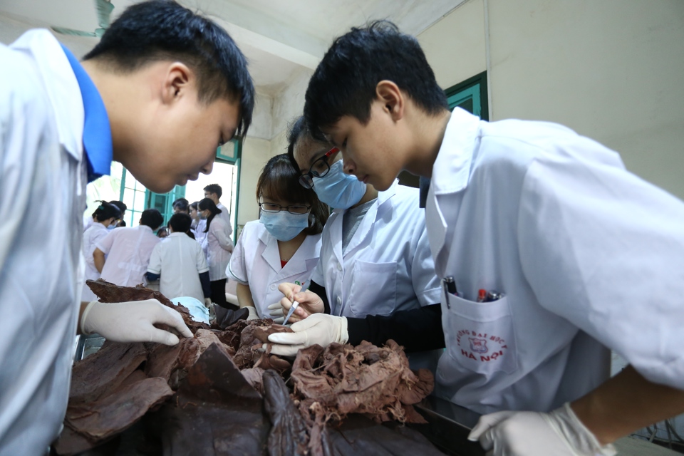 Sinh viên Đại học Y Hà Nội trong giờ giải phẫu. Ảnh: Phạm Hùng