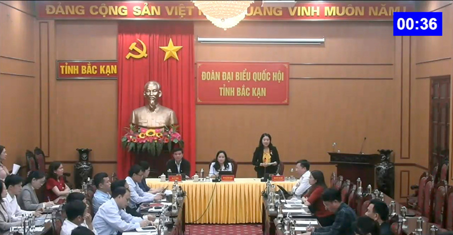 Đại biểu Quốc hội Nguyễn Thị Huế (Đo&agrave;n tỉnh Bắc Kạn) chất vấn từ điểm cầu trực tuyến