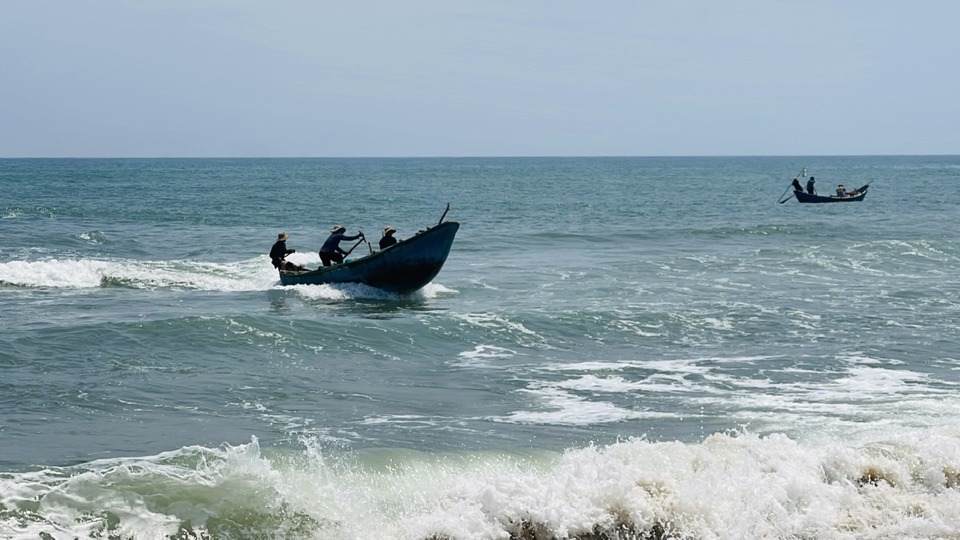 Ngư d&acirc;n khai th&aacute;c ốc tr&ecirc;n v&ugrave;ng biển thuộc x&atilde; Đức Minh.