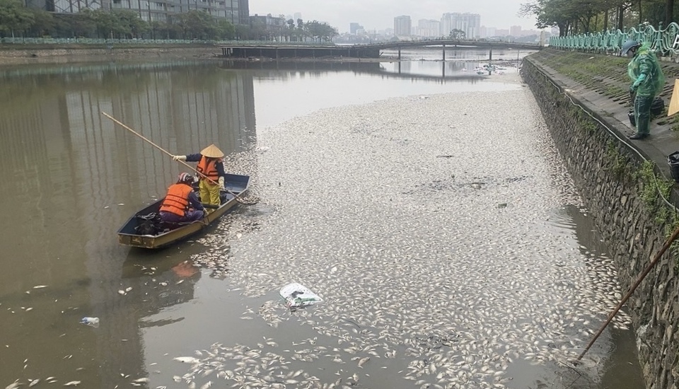 Ngay sau khi ph&aacute;t hiện t&igrave;nh trạng tr&ecirc;n, c&aacute;c lực lượng chức năng đ&atilde; tổ chức vớt to&agrave;n bộ lượng c&aacute; chết nổi tr&ecirc;n mặt hồ Thuỷ Sứ.