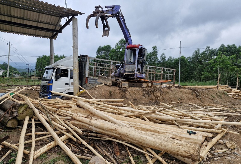 Ch&iacute;nh quyền x&atilde; Ngư H&oacute;a đ&atilde; từng lập bi&ecirc;n bản hiện trạng, y&ecirc;u cầu anh&nbsp;Nguyễn Xu&acirc;n Thủy ho&agrave;n th&agrave;nh c&aacute;c hồ sơ, thủ tục ph&aacute;p l&yacute; mới được tiếp tục kinh doanh