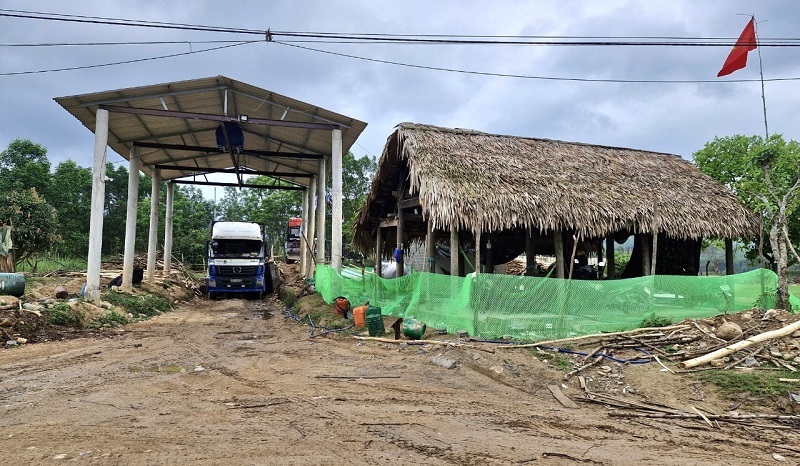 Cơ sở thu mua gỗ keo của anh Nguyễn Xu&acirc;n Thủy ở x&atilde; Ngư H&oacute;a kh&ocirc;ng hề c&oacute; biển bảng, v&agrave; hồ sơ thủ tục kinh doanh theo quy định