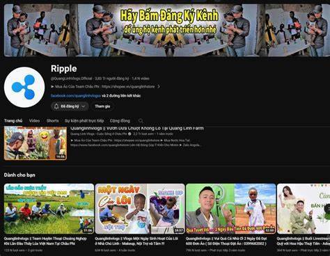K&ecirc;nh Youtube Quang Linh Vlogs bị tấn c&ocirc;ng