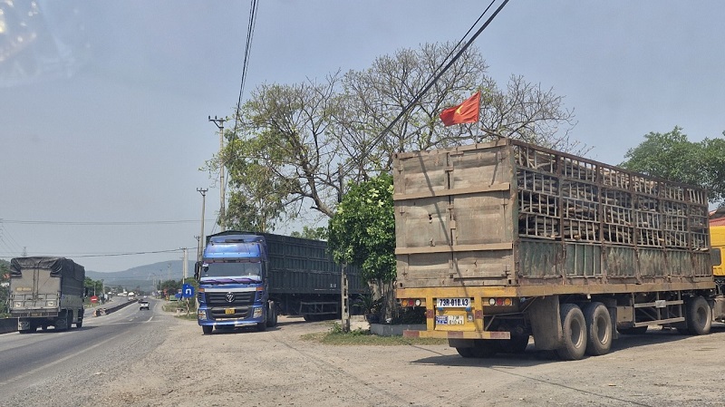 Phương tiện vận tải dừng đỗ lộn xộn b&ecirc;n Quốc lộ 1A đoạn qua x&atilde; Quảng Đ&ocirc;ng, huyện Quảng Trạch