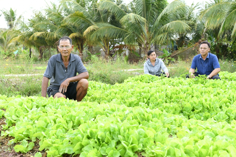 &Ocirc;ng L&acirc;m Tal (b&ecirc;n tr&aacute;i) đang chia sẻ kinh nghiệm "thuận thi&ecirc;n" trồng m&agrave;u ngắn ng&agrave;y m&ugrave;a hạn mặn.