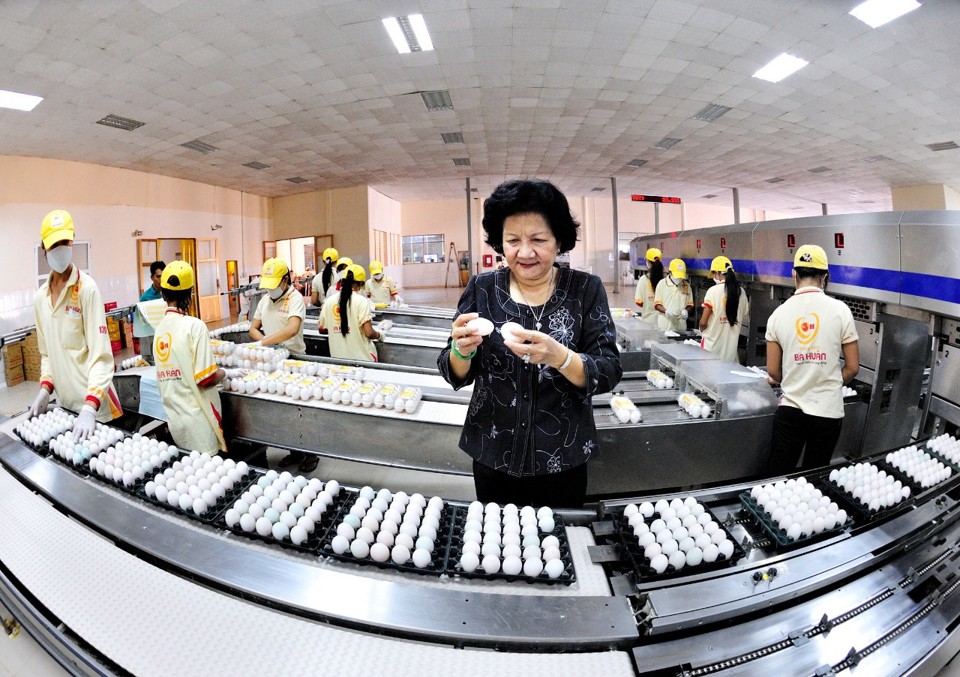 Bà Phạm Thị Huân - Chủ tịch HĐQT Công ty CP Ba Huân kiểm tra trứng thành phẩm sau khi qua dây chuyền xử lý trứng tự động. Ảnh: Tiểu Thúy