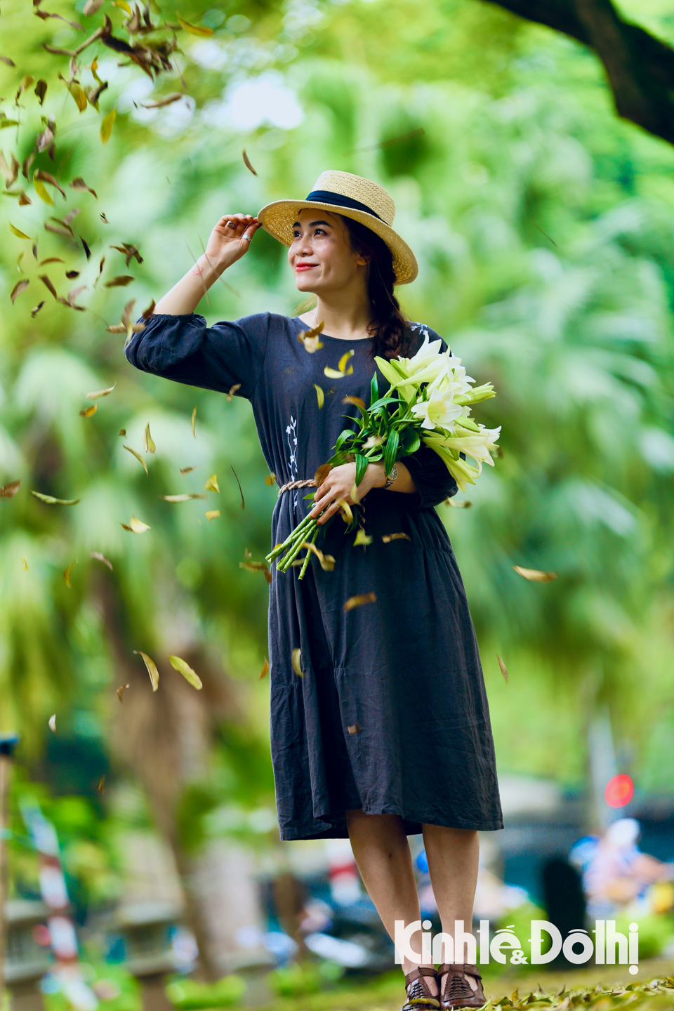 Hà Nội: Ngắm nhìn vẻ đẹp mộng mơ mùa sấu thay lá trên phố Phan Đình Phùng - Ảnh 3