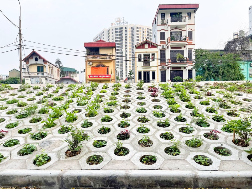 Thay v&igrave; đi chợ, người d&acirc;n c&oacute; thể sử dụng thực phẩm rau xanh ngay trước cửa nh&agrave;.