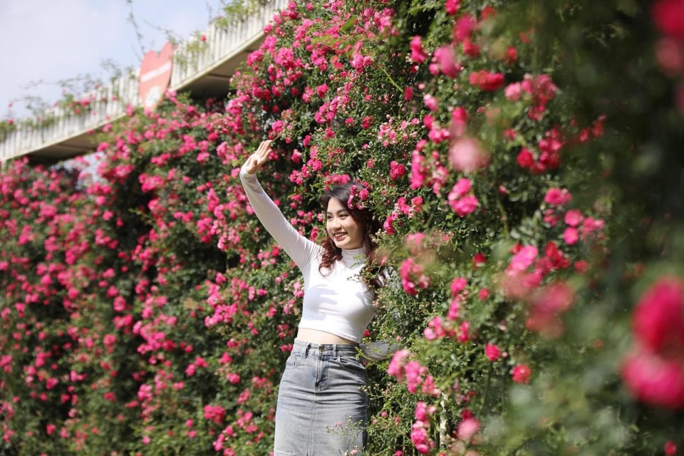 Đây là đường dạo ngắm hoa Đỗ quyên đầu tiên tại Việt Nam, nằm tại Kim Sơn Bảo Thắng Tự thuộc quần thể kiến trúc văn hóa tâm linh trên đỉnh thiêng Fansipan, khánh thành từ tháng 5/2023.