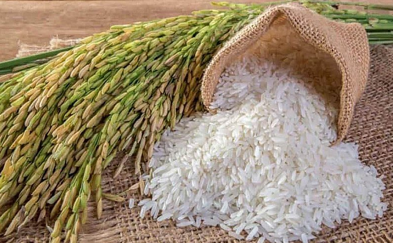 Giá lúa gạo hôm nay 22/4/2024: giá lúa dao động 7.400 - 8.200 đồng/kg. Ảnh minh họa.
