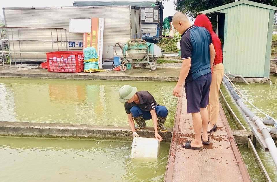 M&ocirc; h&igrave;nh "Nu&ocirc;i thủy sản theo hướng VietGAP" được hỗ trợ c&aacute; giống tại x&atilde; Đại &Aacute;ng, huyện Thanh Tr&igrave;.