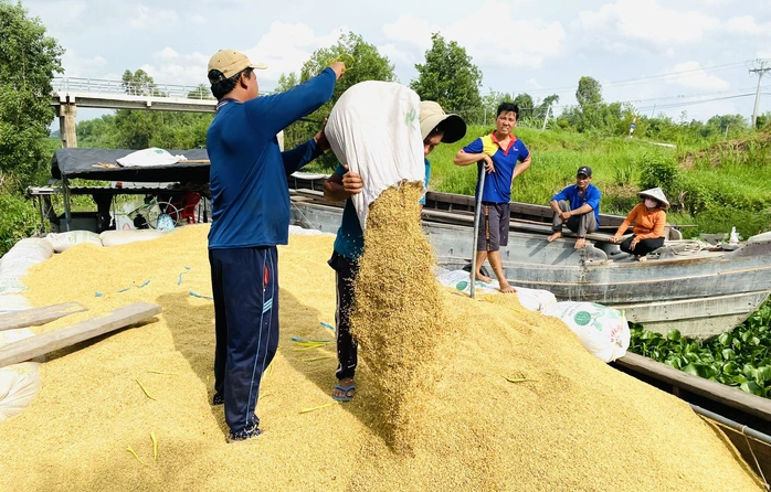 Xuất khẩu gạo của Việt Nam trong qu&yacute; 1/2024 ghi nhận nhiều t&iacute;n hiệu t&iacute;ch cực. Ảnh Ngọc Trinh