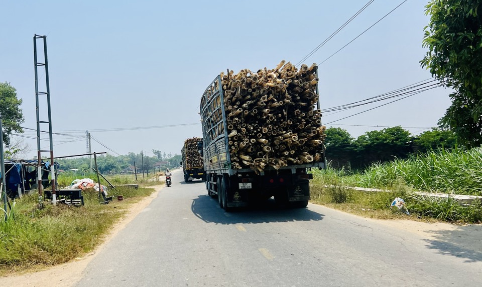 Quốc lộ 14E hiện trạng chật hẹp, tiềm ẩn nhiều nguy cơ.