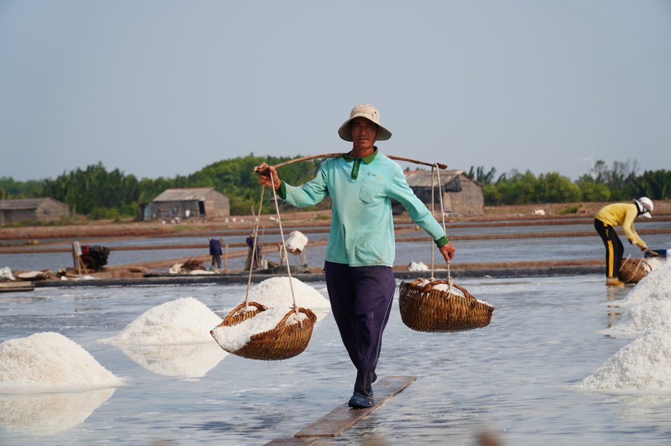 Gi&aacute; muối giảm so với năm ngo&aacute;i, nhiều di&ecirc;m d&acirc;n ở Bến Tre lao đao.