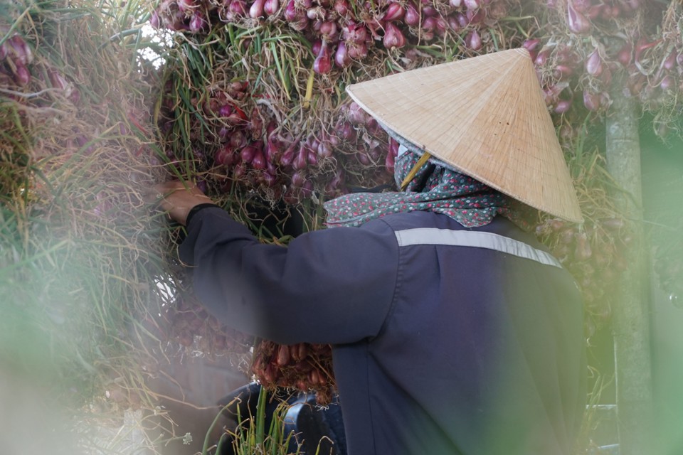 H&agrave;nh được treo l&ecirc;n c&aacute;c khung, d&acirc;y kim loại.