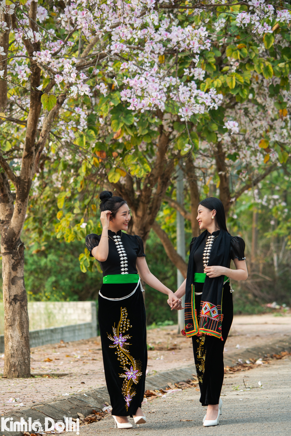 Th&agrave;nh phố&nbsp;Điện Bi&ecirc;n Phủ hiện được v&iacute; như &ldquo;con t&agrave;u với c&aacute;nh buồm căng gi&oacute;&rdquo;, trong đ&oacute; hoa ban l&agrave; biểu tượng của tỉnh Điện Bi&ecirc;n n&oacute;i ri&ecirc;ng v&agrave; T&acirc;y Bắc n&oacute;i chung.