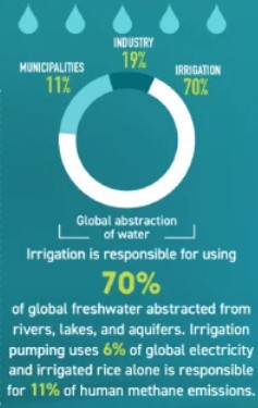70% lượng nước ngọt sử dụng tr&ecirc;n to&agrave;n cầu d&agrave;nh cho hoạt động n&ocirc;ng nghiệp
