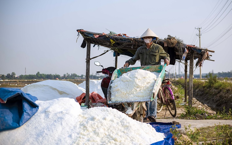 Lau vội khu&ocirc;n mặt đen sạm đang ướt đẫm mồ h&ocirc;i giữa c&aacute;nh đồng muối, &ocirc;ng Nguyễn Văn Hường (x&atilde; Quảng Ph&uacute;, huyện Quảng Trạch) cho biết, cực nhọc trăm bề mới l&agrave;m ra hạt muối, l&uacute;c thu hoạch phấn khởi bao nhi&ecirc;u th&igrave; đến l&uacute;c b&aacute;n lại buồn bấy nhi&ecirc;u. Gi&aacute; muối hiện tại đ&atilde; giảm hơn một nửa so với năm ngo&aacute;i, sau khi trừ hết chi ph&iacute;, di&ecirc;m d&acirc;n hầu như kh&ocirc;ng c&oacute; l&atilde;i.