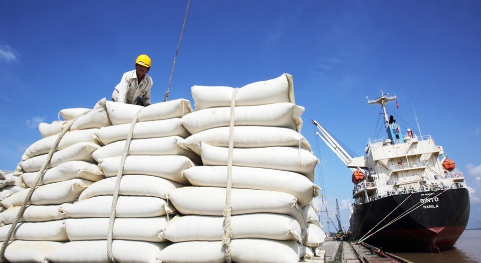 Gi&aacute; xuất khẩu gạo b&igrave;nh qu&acirc;n từ đầu năm 2024 đạt 644 USD/tấn, tăng 22,2%. Ảnh minh họa
