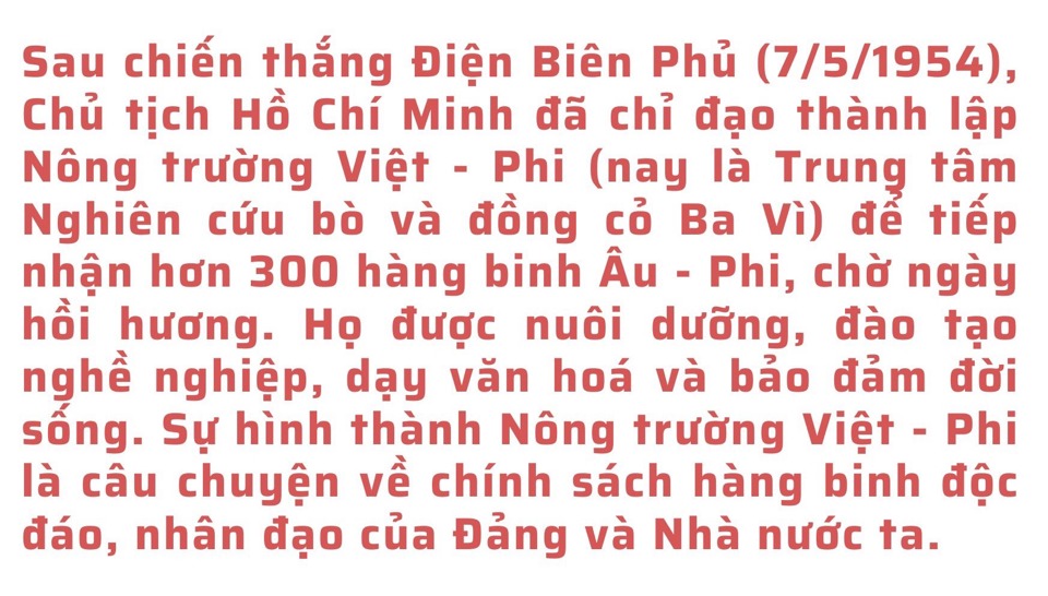 Làng Việt - Phi dưới chân núi Tản Viên - Ảnh 2