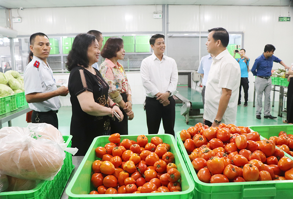 Chi Cục trưởng Chi cục An to&agrave;n vệ sinh thực phẩm H&agrave; Nội Đặng Thanh Phong kiểm tra&nbsp;C&ocirc;ng ty CP Davidcorp Việt Nam.