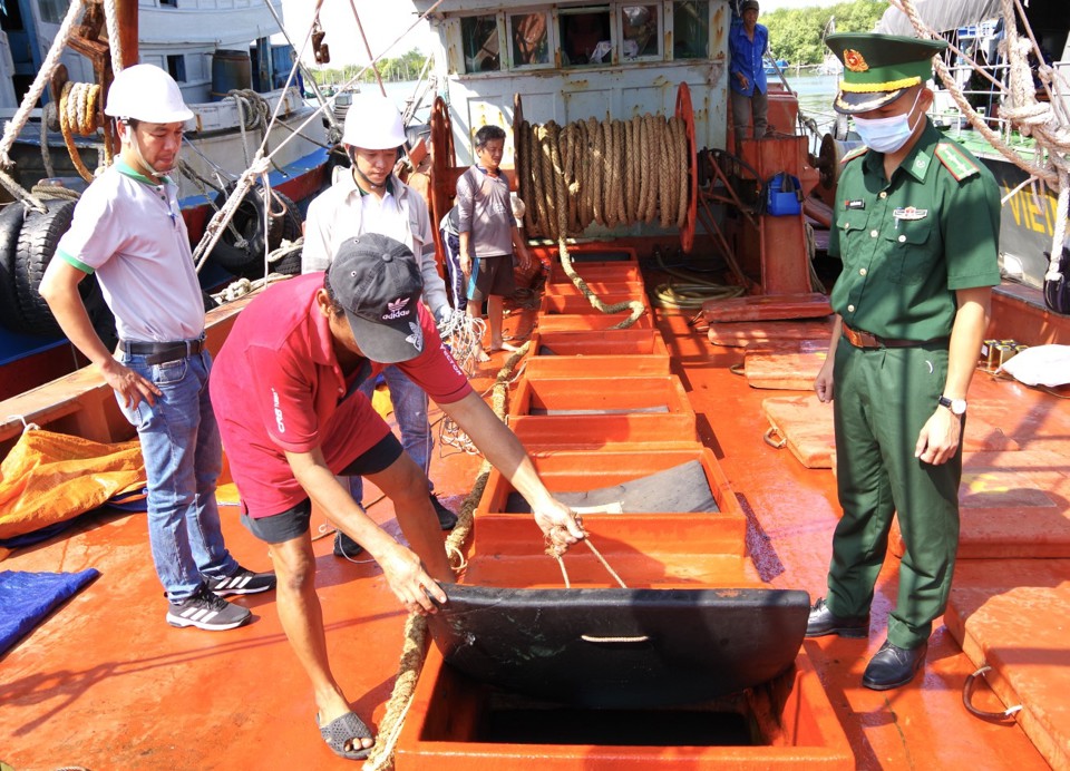 Bộ đội Biên phòng tỉnh Bà Rịa - Vũng Tàu bắt giữ tàu cá chở dầu DO trái phép. Ảnh: Minh Nhân