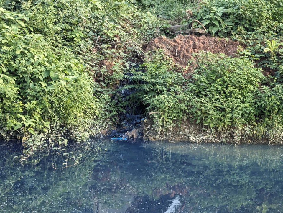 Dòng nước thải màu xanh được thải trực tiếp xuống kênh.
