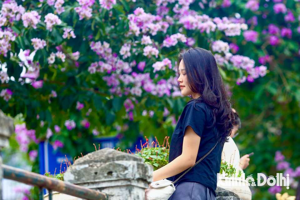 Giới trẻ đổ xô đi “thả dáng” cùng hoa bằng lăng trên phố Hoàng Cầu - Ảnh 4