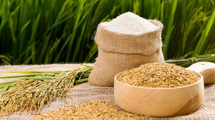 Giá lúa gạo hôm nay 9/5/2024: giá lúa tăng, giá gạo giảm. Ảnh minh họa.