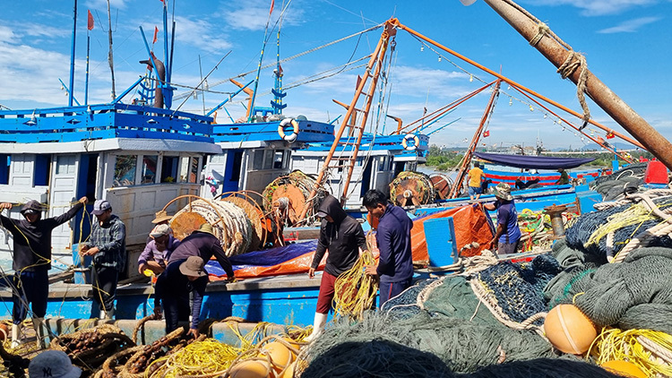 Điều chỉnh số lượng t&agrave;u c&aacute;, chuyển đổi cơ cấu nghề khai th&aacute;c thủy sản ở c&aacute;c thủy vực v&ugrave;ng nội địa, v&ugrave;ng biển ph&ugrave; hợp với khả năng cho ph&eacute;p khai th&aacute;c của nguồn lợi thủy sản. &nbsp;