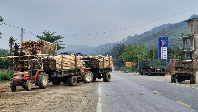 Dịch vụ rửa xe tự ph&aacute;t mọc l&ecirc;n tại ng&atilde; ba Khe Ve v&agrave; hoạt động vận tải tr&ecirc;n tuyến Quốc lộ 12A, đường m&ograve;n Hồ Ch&iacute; Minh bộc lộ nhiều vi phạm về trật tự an to&agrave;n giao th&ocirc;ng. Từ thực tế đ&oacute;, đ&ograve;i hỏi c&aacute;c cấp c&oacute; thẩm quyền v&agrave; lực lượng chức năng cần v&agrave;o cuộc kiểm tra, chấn chỉnh, xử l&yacute; vi phạm, g&oacute;p phần đảm bảo an to&agrave;n giao th&ocirc;ng tr&ecirc;n c&aacute;c tuyến đường