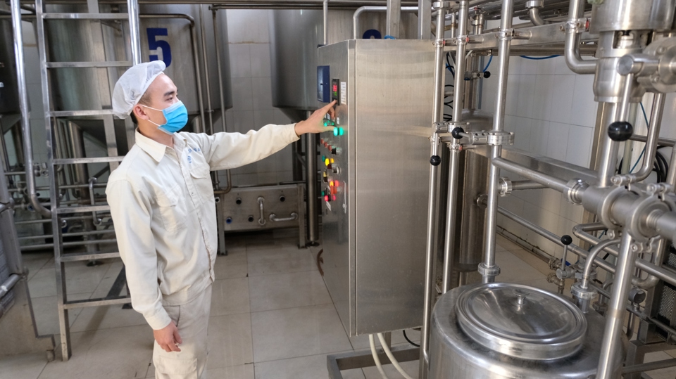 &Aacute;p dụng khoa học kỹ thuật trong sản xuất sữa b&ograve; tại huyện Gia L&acirc;m (TP H&agrave; Nội).