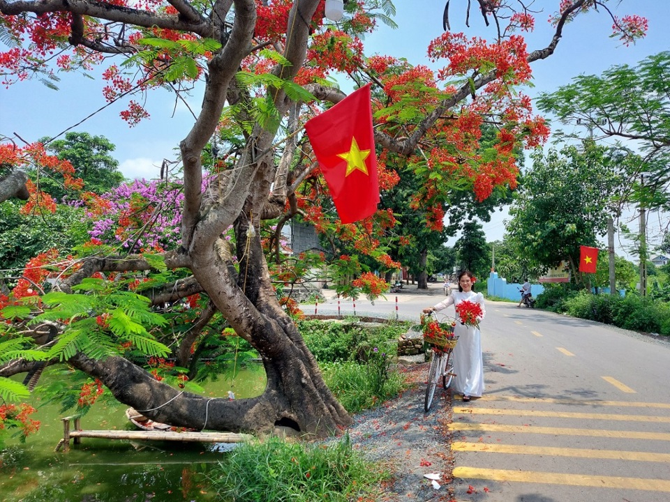 Chụp ảnh c&ugrave;ng hoa phượng, một c&aacute;ch n&iacute;u giữ tuổi học tr&ograve;?