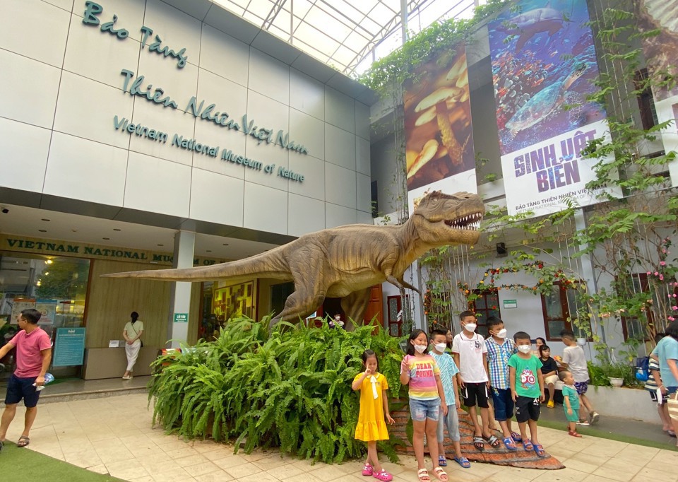 Du khách tham quan Bảo tàng Thiên nhiên Việt Nam. Ảnh: Lại Tấn