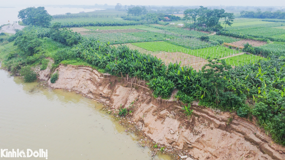 Những đoạn sạt lở n&agrave;y đ&atilde; ăn s&aacute;t v&agrave;o hoa m&agrave;u của người d&acirc;n, tiềm ẩn nguy hiểm cao.