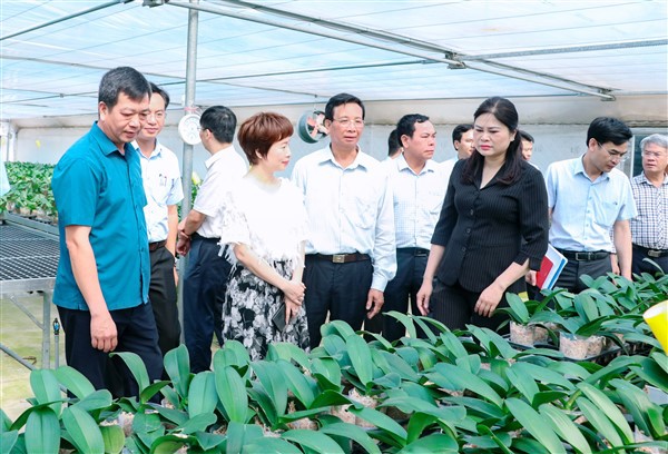 L&atilde;nh đạo huyện Gia L&acirc;m kiểm tra thực tế m&ocirc; h&igrave;nh trồng hoa lan &aacute;p dụng c&ocirc;ng nghệ cao tại x&atilde; Dương Quang.