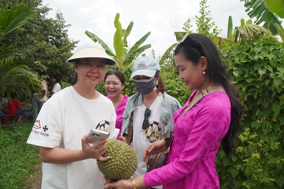 Nhiều du kh&aacute;ch đ&atilde; tự h&aacute;i mang một &iacute;t tr&aacute;i về l&agrave;m qu&agrave; tặng người th&acirc;n.