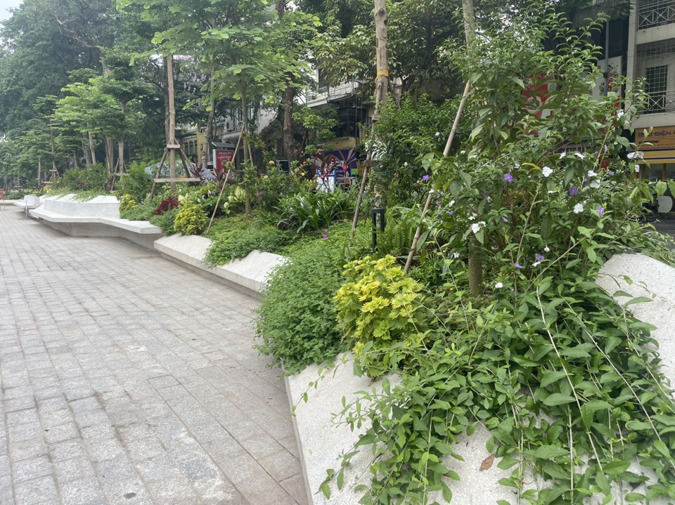 Quận Ba Đình: diện mạo mới xanh, thân thiện, hiện đại của Vườn hoa Vạn Xuân - Ảnh 2