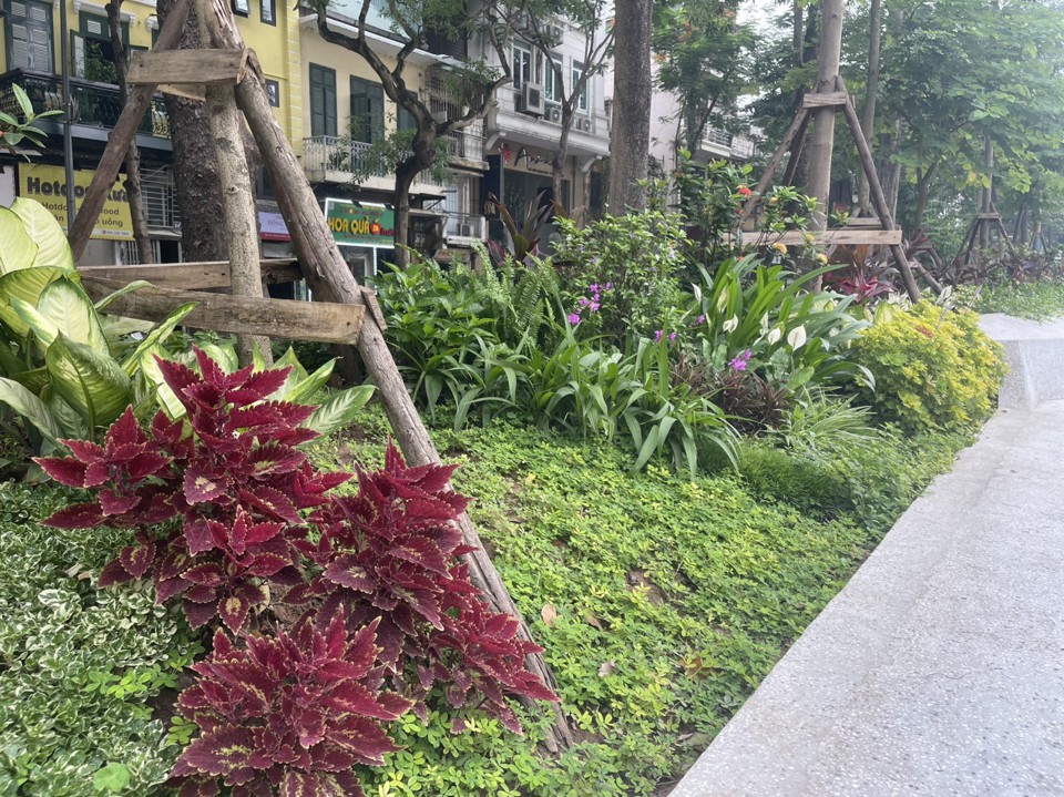 Quận Ba Đình: diện mạo mới xanh, thân thiện, hiện đại của Vườn hoa Vạn Xuân - Ảnh 1