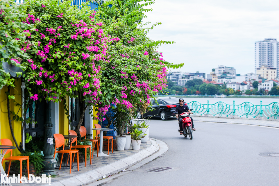 Vẻ đẹp l&atilde;ng mạn tại c&aacute;c cung đường ven hồ T&acirc;y c&oacute; một sắc m&agrave;u rất ri&ecirc;ng, khiến cho l&ograve;ng người dịu lại mỗi lần đi qua.