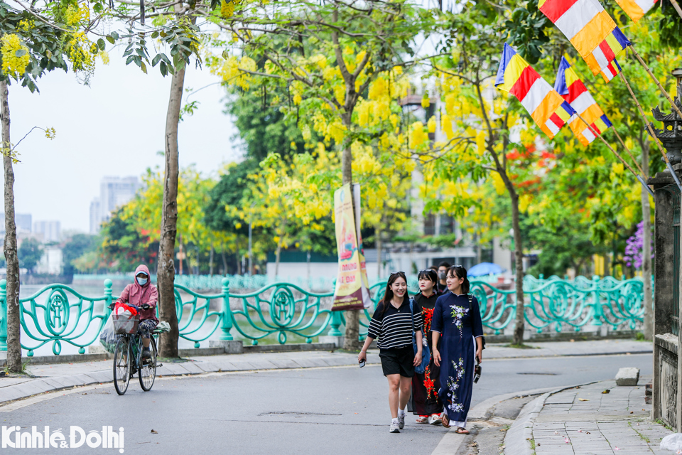 Những ng&agrave;y n&agrave;y, người d&acirc;n v&agrave; du kh&aacute;ch h&aacute;o hức với lo&agrave;i hoa rực rỡ, ki&ecirc;u sa mỗi khi đi qua hồ T&acirc;y.