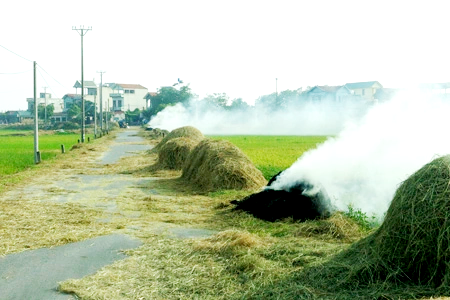 Người d&acirc;n đốt rơm rạ tr&ecirc;n đường g&acirc;y mất an to&agrave;n giao th&ocirc;ng, g&acirc;y &ocirc; nhiễm m&ocirc;i trường. Ảnh minh hoạ