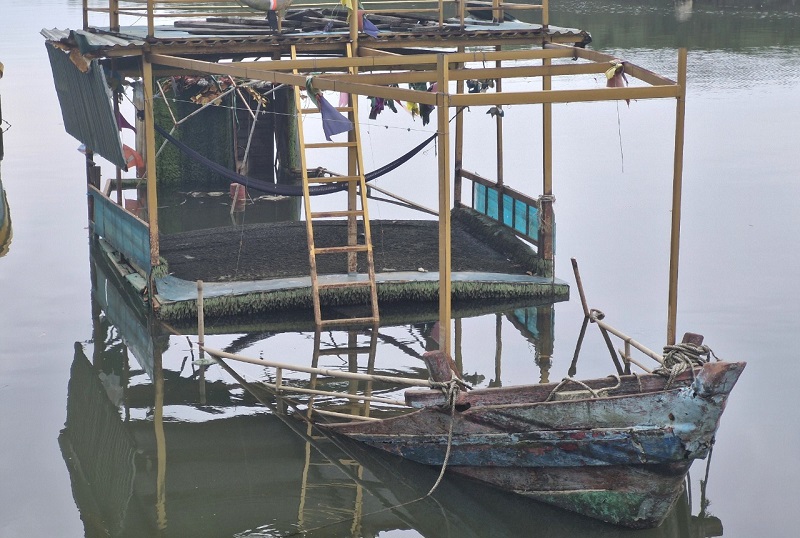 T&agrave;u đ&aacute;nh c&aacute; bị hư hỏng nằm giữa luồng lạch d&agrave;i ng&agrave;y, g&acirc;y kh&oacute; khăn, cản trở t&agrave;u thuyền ra v&agrave;o neo đậu