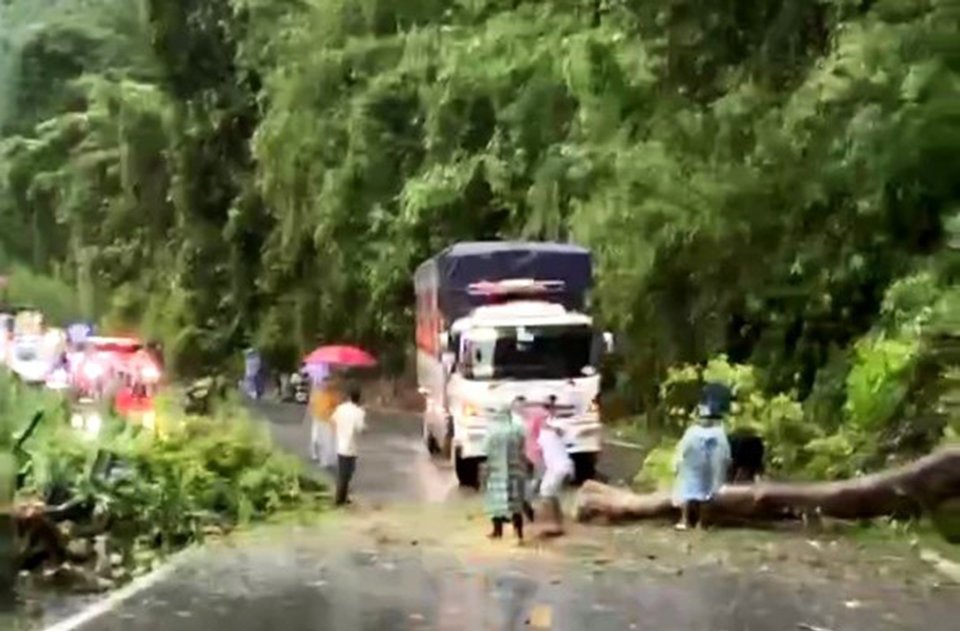 C&acirc;y lớn g&atilde;y đổ g&acirc;y &aacute;ch tắc giao th&ocirc;ng đ&egrave;o Bảo Lộc