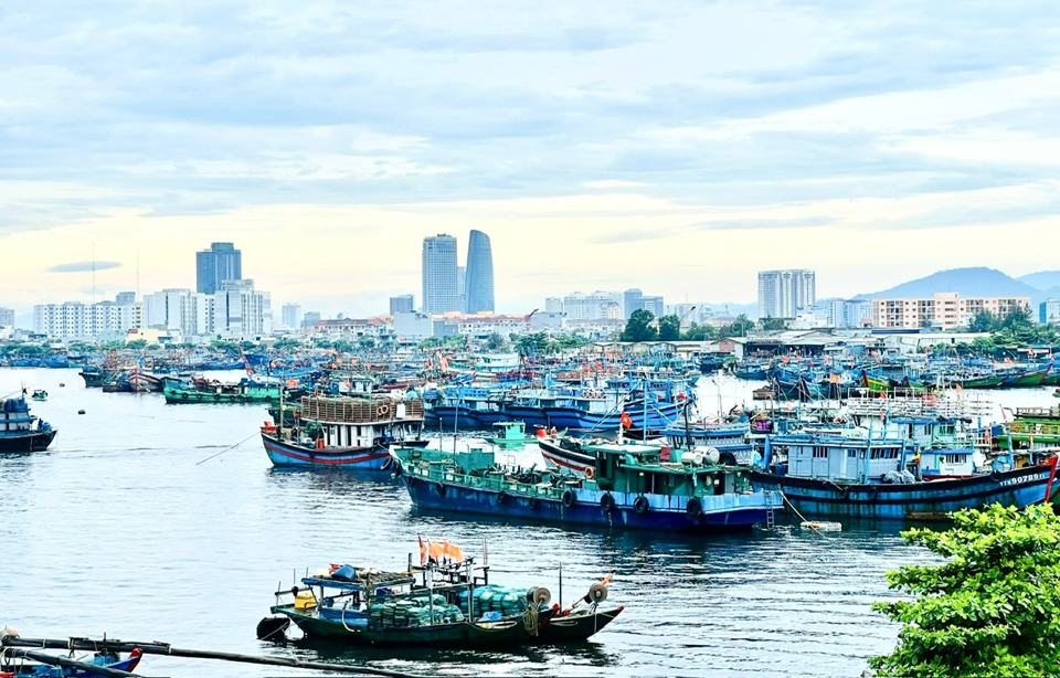 &Acirc;u thuyền v&agrave; Cảng c&aacute; Thọ Quang.